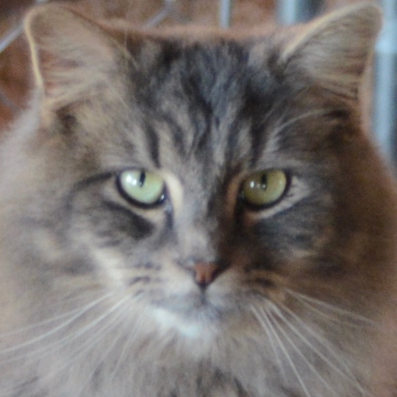 Meet your Posher, Audrey - Picture 6 of 14